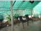 820 Pioneer Dr, Humpty Doo NT 0836