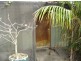 820 Pioneer Dr, Humpty Doo NT 0836