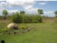 1554 Whitstone Rd, Acacia Hills NT 0822