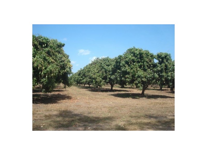 830 Anzac Parade, Middle Point NT 0822