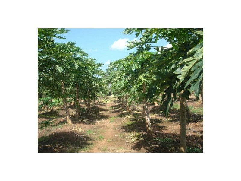 830 Anzac Parade, Middle Point NT 0822