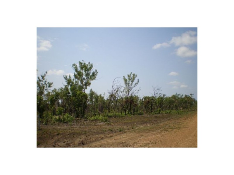 45 Coda Rd, Dundee Downs NT 0840