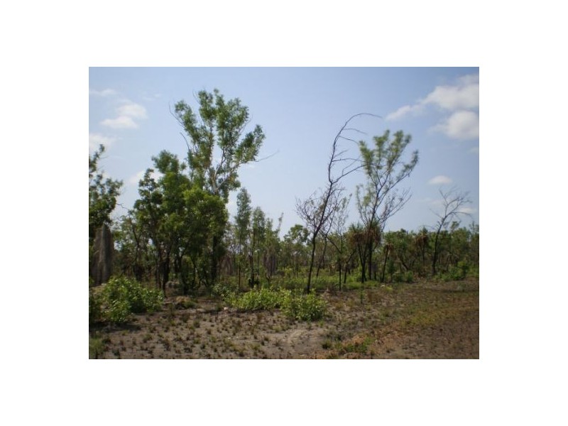 45 Coda Rd, Dundee Downs NT 0840