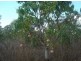 350 Meade Rd, Darwin River NT 0841