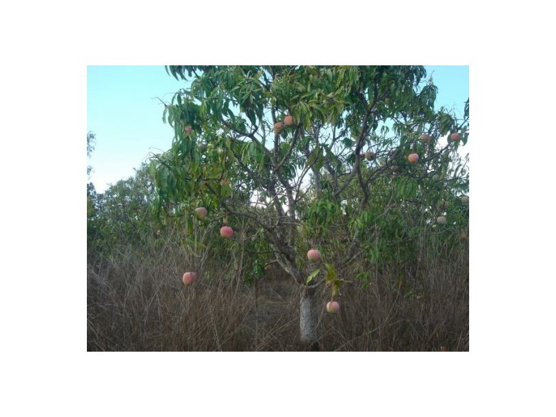 350 Meade Rd, Darwin River NT 0841