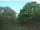 350 Meade Rd, Darwin River NT 0841