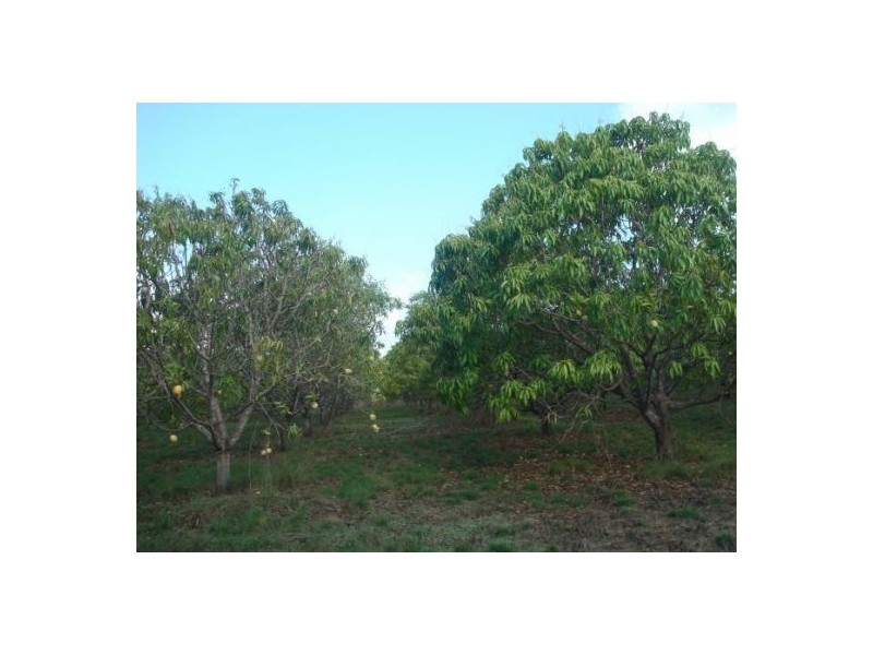 350 Meade Rd, Darwin River NT 0841