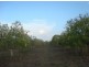 340 Meade Rd, Darwin River NT 0841