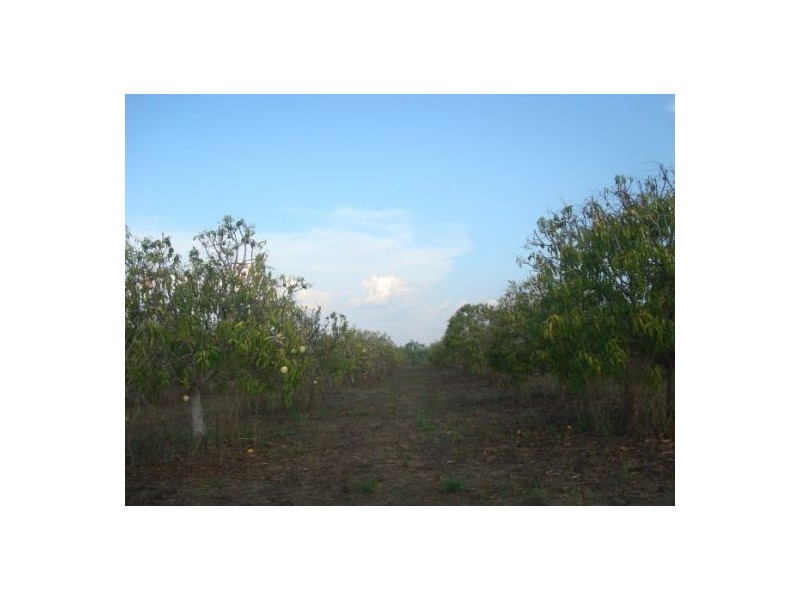 340 Meade Rd, Darwin River NT 0841