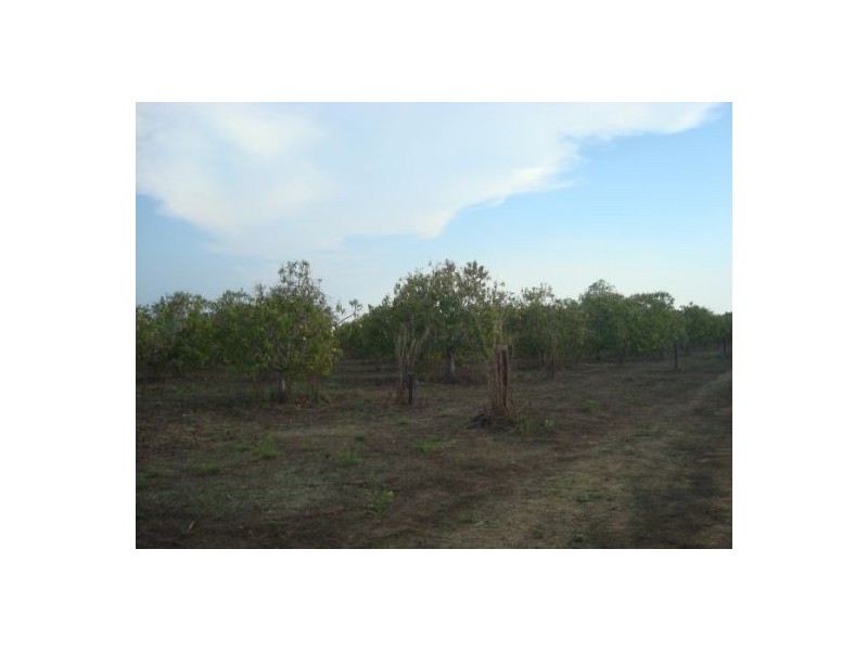 340 Meade Rd, Darwin River NT 0841