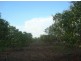 320 Meade Rd, Darwin River NT 0841
