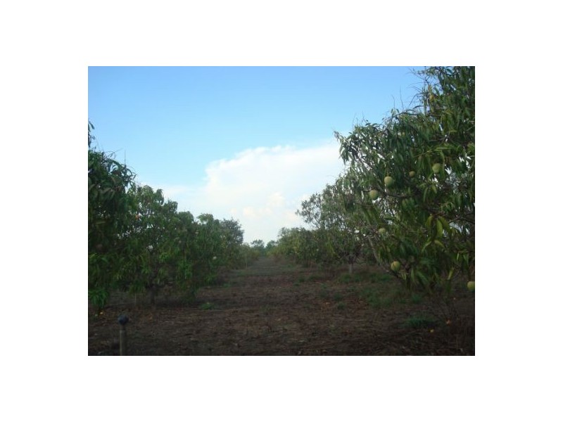 320 Meade Rd, Darwin River NT 0841