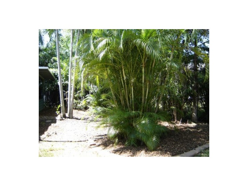 6 Fern Court, Leanyer NT 0812