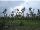 225 Wright Rd, Marrakai NT 0822