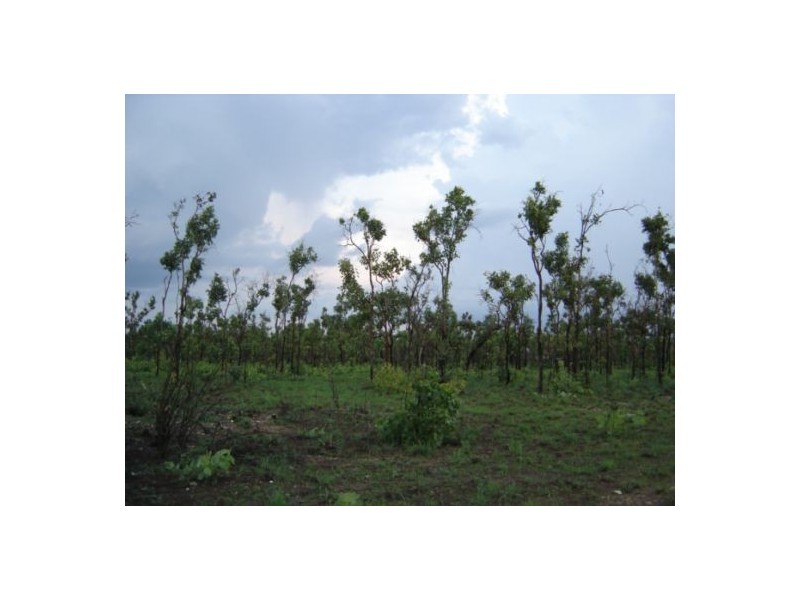 225 Wright Rd, Marrakai NT 0822