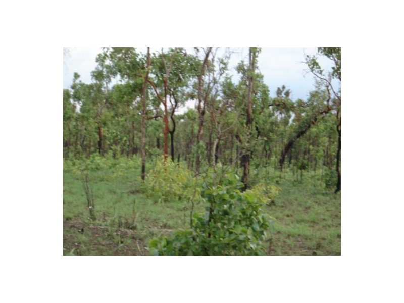 225 Wright Rd, Marrakai NT 0822