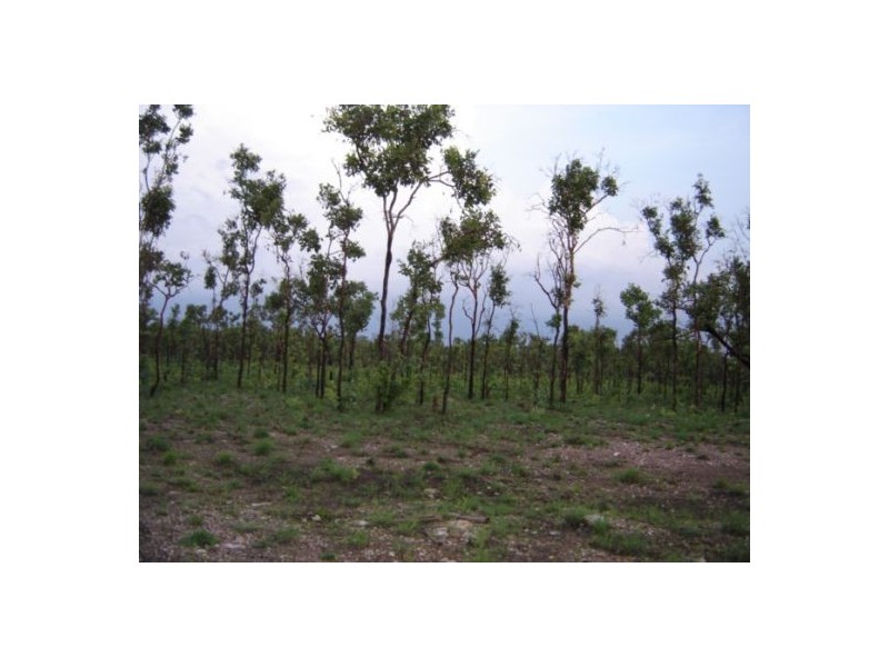 225 Wright Rd, Marrakai NT 0822