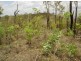 239 Strickland Rd, Adelaide River NT 0846
