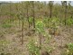 239 Strickland Rd, Adelaide River NT 0846