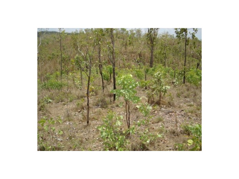 239 Strickland Rd, Adelaide River NT 0846