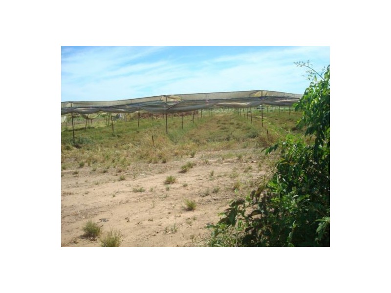 195 Connelly Rd, Lambells Lagoon NT 0822