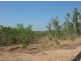 165 Madigan Rd, Marrakai NT 0822