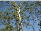 110 Levey Rd, Virginia NT 0835