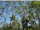 110 Levey Rd, Virginia NT 0835