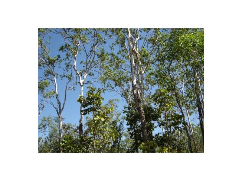 110 Levey Rd, Virginia NT 0835