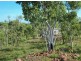 1945 Dorat Rd, Adelaide River NT 0846