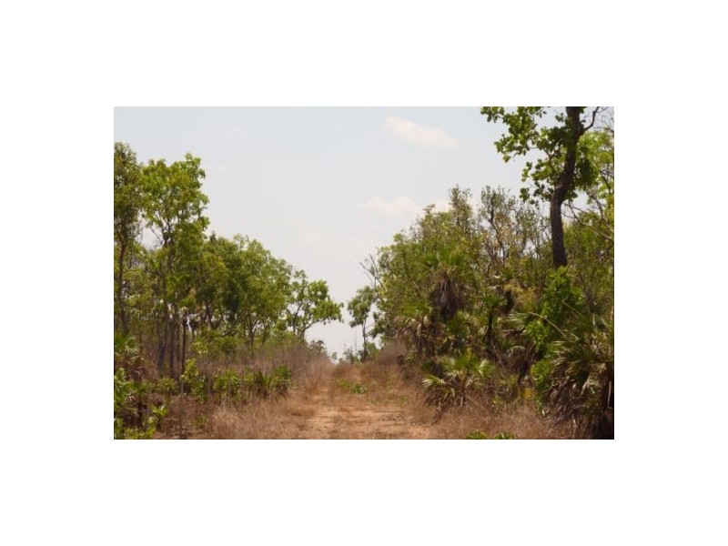 1/1927 Hundred Of Hart, Batchelor NT 0845