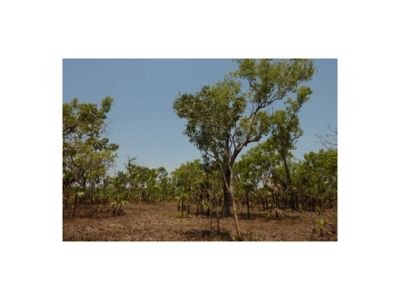 6/1932 Hundred Of Hart, Batchelor NT 0845