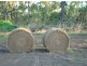 815 Milton Rd, Stapleton, Batchelor NT 0845