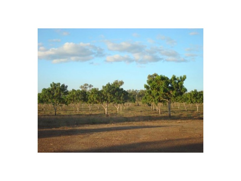 815 Milton Rd, Stapleton, Batchelor NT 0845