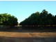 815 Milton Rd, Stapleton, Batchelor NT 0845