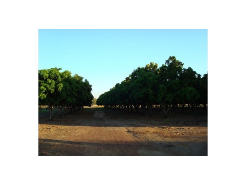 815 Milton Rd, Stapleton, Batchelor NT 0845