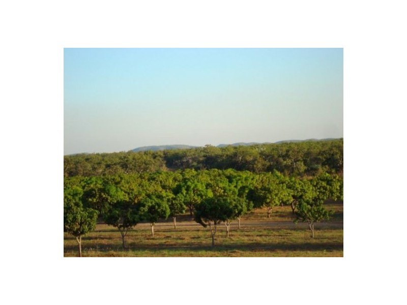 815 Milton Rd, Stapleton, Batchelor NT 0845