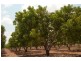 4603 Stephen Rd, Marrakai NT 0822