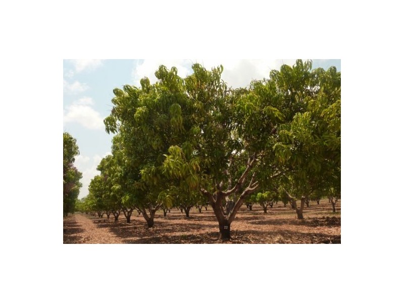 4603 Stephen Rd, Marrakai NT 0822
