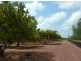4604 Stephen Rd, Marrakai NT 0822