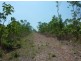 6241 Stephen Rd, Marrakai NT 0822