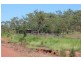 169 Ringwood Rd, Tortilla Flats NT 0822