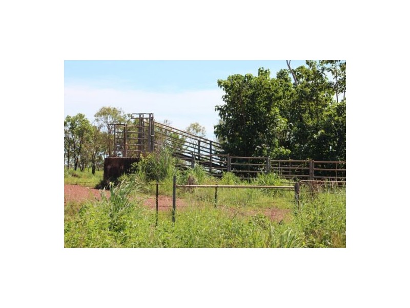 169 Ringwood Rd, Tortilla Flats NT 0822