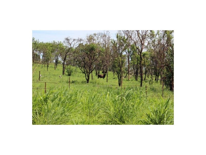 169 Ringwood Rd, Tortilla Flats NT 0822