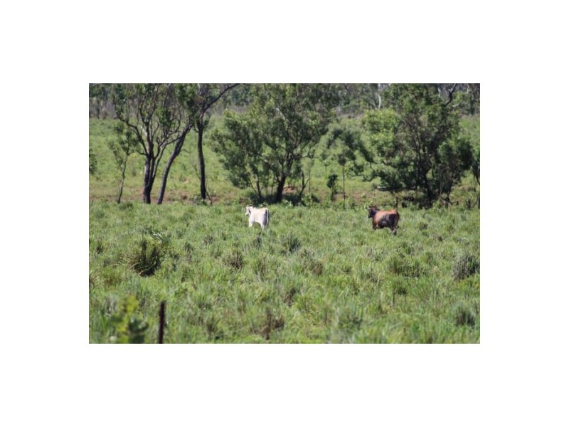 169 Ringwood Rd, Tortilla Flats NT 0822