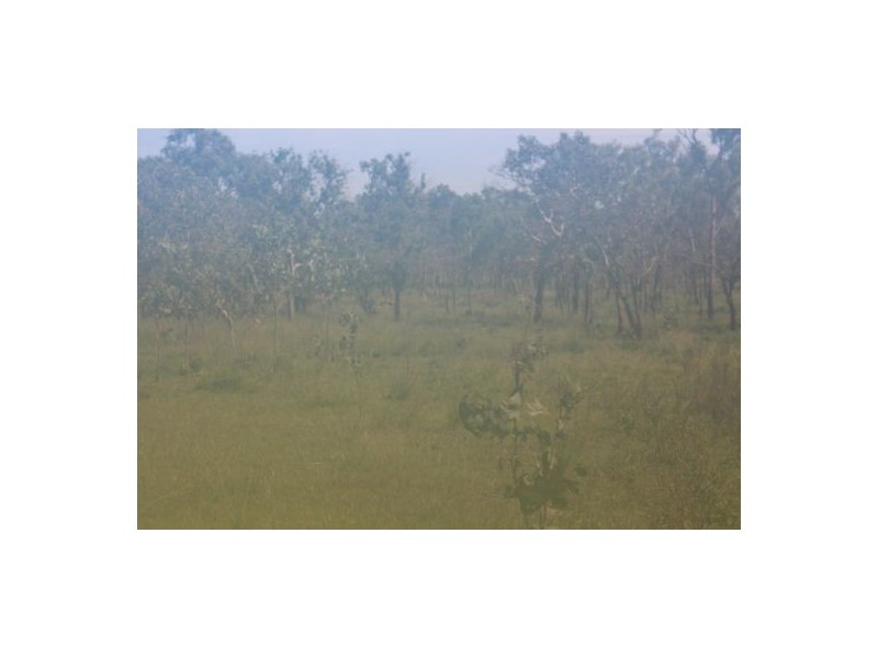 169 Ringwood Rd, Tortilla Flats NT 0822