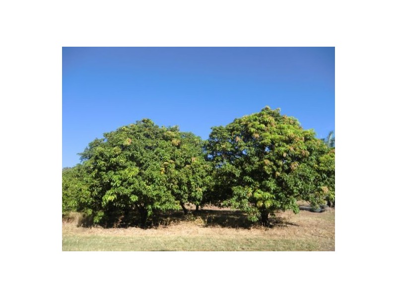 6475 Stuart Hwy, Tortilla Flats NT 0822