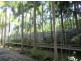 35 Hillier Rd, Howard Springs NT 0835