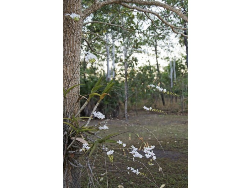 300 Thomas Rd, Humpty Doo NT 0836