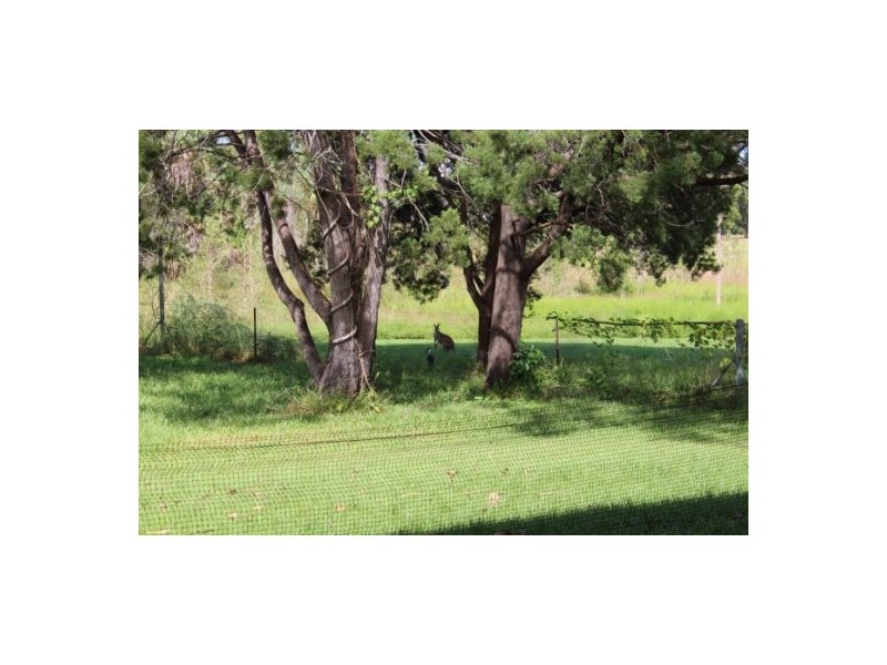 295 Lowther Rd, Virginia NT 0835